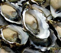 The Oyster Shed